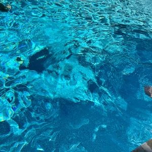 Meet your Posher, Leandra